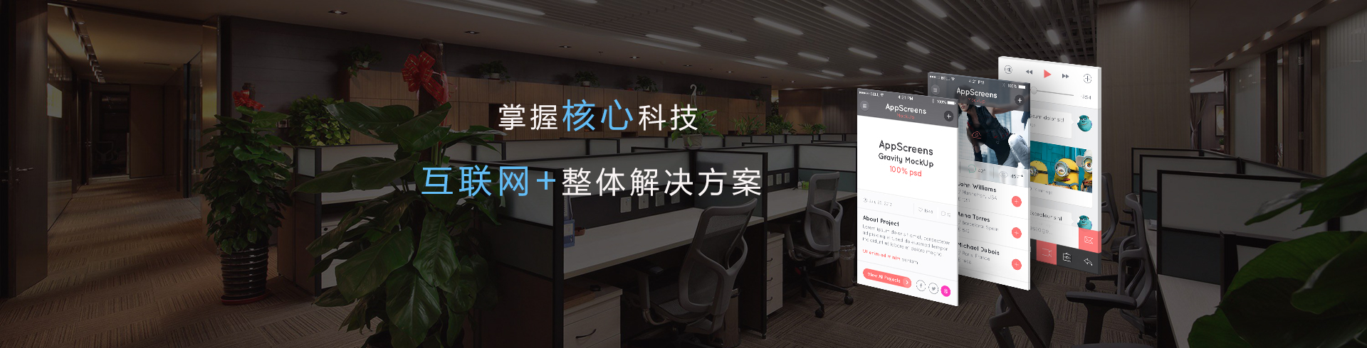 产品示意图
